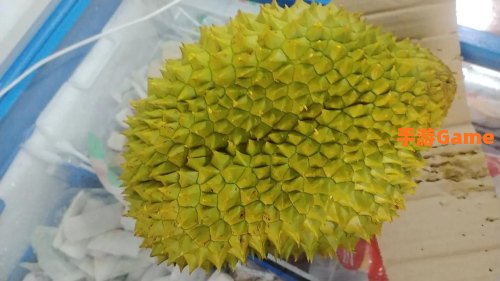草莓榴莲绿巨人老司机香蕉茄子