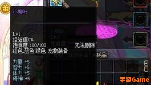 dnf新宠物