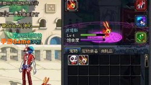 dnf新宠物