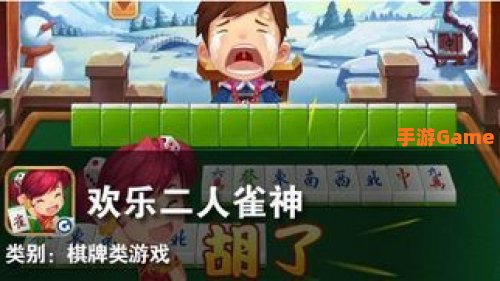 二人游戏二人游：从斗地主到填珠棋，体验智慧与策略的较量